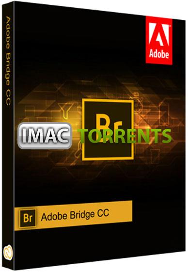 adobe bridge mac torrent